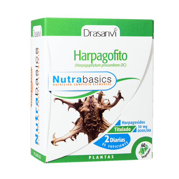 Harpagofito