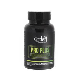 Pro Plus